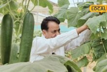 ATMA Scheme Rajasthan | Rajasthan Government launches ATMA Scheme 2026-27