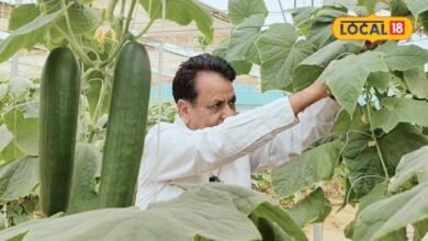 ATMA Scheme Rajasthan | Rajasthan Government launches ATMA Scheme 2026-27