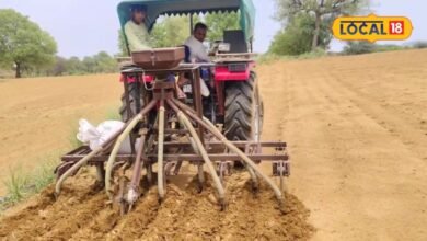 Agriculture News: खरीफ की कटाई के बाद खेतों में बची नमी बनी वरदान, बुवाई को लेकर किसानों ने तेज की तैयारी