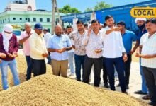 Agriculture: चौमूं मंडी में मूंगफली की बंपर आवक, 9 हजार रुपए क्विंटल तक भाव से किसान खुश, जानें बाजरा-मक्का का रेट