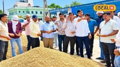Agriculture: चौमूं मंडी में मूंगफली की बंपर आवक, 9 हजार रुपए क्विंटल तक भाव से किसान खुश, जानें बाजरा-मक्का का रेट