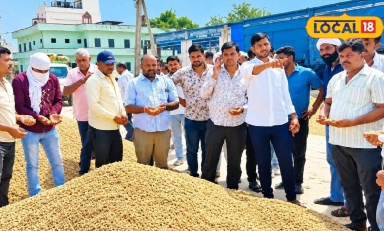 Agriculture: चौमूं मंडी में मूंगफली की बंपर आवक, 9 हजार रुपए क्विंटल तक भाव से किसान खुश, जानें बाजरा-मक्का का रेट