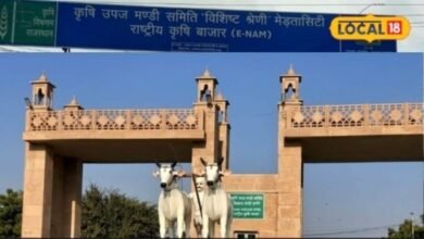 Agriculture: नागौर मंडी ने बदला कमाई का गणित, राजस्व में 84.29% की उछाल, किसानों का ऐसे भरोसा लौटा