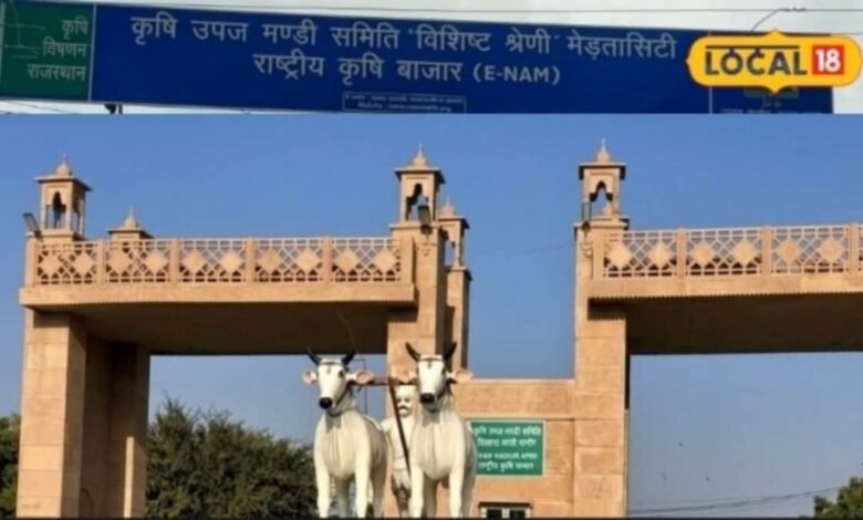 Agriculture: नागौर मंडी ने बदला कमाई का गणित, राजस्व में 84.29% की उछाल, किसानों का ऐसे भरोसा लौटा