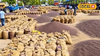 Agriculture: बारिश रूठी तो ग्वार बनी सहारा, किसानों को मिल रही अच्छी उपज, 6500 रुपए क्विंटल भाव दे रहा राहत