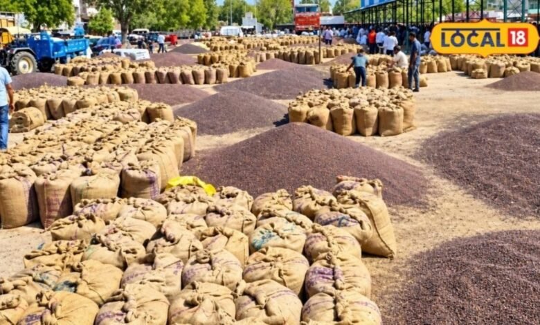 Agriculture: बारिश रूठी तो ग्वार बनी सहारा, किसानों को मिल रही अच्छी उपज, 6500 रुपए क्विंटल भाव दे रहा राहत