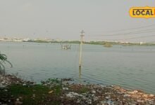 Ajmer Gudolav Lake Singhada Farming News