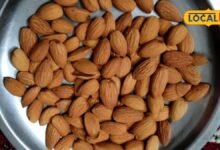 Almonds Benefits: सर्दियों में इस तरह करें बादाम का सेवन, मिलेगा दोगुना फायदा, एक्सपर्ट ने बताया सही तरीका