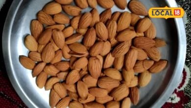 Almonds Benefits: सर्दियों में इस तरह करें बादाम का सेवन, मिलेगा दोगुना फायदा, एक्सपर्ट ने बताया सही तरीका