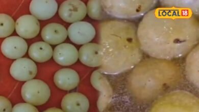 Amla Benefits: सर्दियों में आंवले का मुरब्बा क्यों है खास? जालोर की संतोष देवी ने बताया घर पर बनाने का आसान तरीका