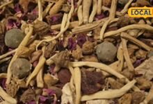 Ayurvedic Battisa Benefits: 32 जड़ी-बूटियों से तैयार होता है दादी-नानी के जमाने का बत्तीसा, सर्दियों में बनते हैं खास लड्डू