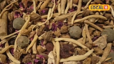 Ayurvedic Battisa Benefits: 32 जड़ी-बूटियों से तैयार होता है दादी-नानी के जमाने का बत्तीसा, सर्दियों में बनते हैं खास लड्डू
