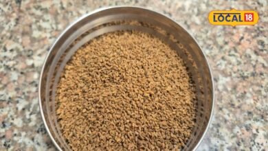 Ayurvedic Home Remedy: दादी-नानी की रसोई में था घरेलू नुस्खों का खजाना, छोटी-मोटी परेशानियों में काम आती थीं ये 7 चीजें