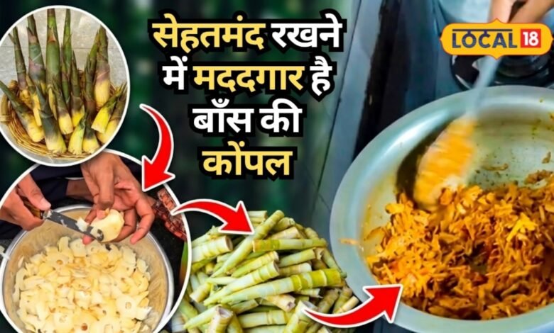 Bamboo Shoots Health Benefits: कांटों के बीच छिपा है सेहत का खजाना, वजन घटाने से दिल तक के लिए कमाल हैं बांस की कोंपल