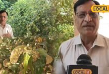 Bharatpur Ber Farming | Protect Crop From Fruit Fly |