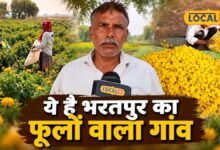 Bharatpur News I जहां कभी लहलहाती थी गेहूं-सरसों की फसल, अब वहां खिल रहे फूल, बुरावई गांव बना नई पहचान