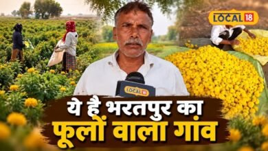 Bharatpur News I जहां कभी लहलहाती थी गेहूं-सरसों की फसल, अब वहां खिल रहे फूल, बुरावई गांव बना नई पहचान