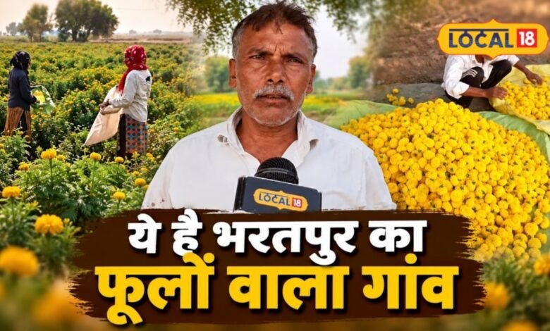 Bharatpur News I जहां कभी लहलहाती थी गेहूं-सरसों की फसल, अब वहां खिल रहे फूल, बुरावई गांव बना नई पहचान