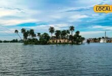 Bhilwara Tourism: राजस्थान का अनोखा तालाब, कमल के फूलों के बीच पक्षियों की अठखेलियां जीत लेंगी दिल