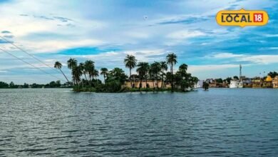 Bhilwara Tourism: राजस्थान का अनोखा तालाब, कमल के फूलों के बीच पक्षियों की अठखेलियां जीत लेंगी दिल