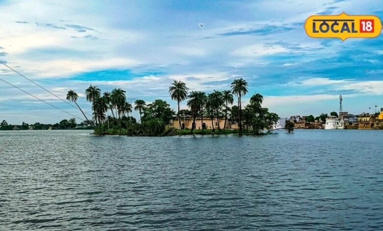 Bhilwara Tourism: राजस्थान का अनोखा तालाब, कमल के फूलों के बीच पक्षियों की अठखेलियां जीत लेंगी दिल