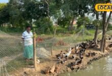 Business Idea: नौकरी के साथ शुरू करें घर से होने वाला यह बिजनेस, हर माह सैलरी के अलावा 50,000 रुपए आमदनी