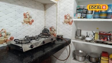 Diwali Cleaning Tips I किचन में बार-बार आ जाती हैं चींटियां? नींबू से लेकर दालचीनी तक, ये उपाय आएंगे काम