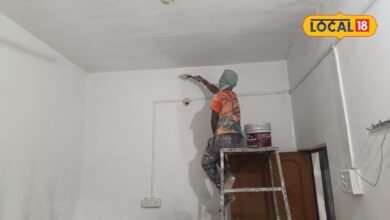 Diwali Cleaning Tips: दिवाली से पहले घर की पुताई करते समय रखें ध्यान, पेंट के दाग हटाने के ये तरीके आएंगे काम