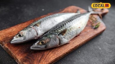 Fish Benefits: कौन सी मछली खाना सेहत के लिए है सबसे अच्छा? जानिए ओमेगा-3 और प्रोटीन का खजाना