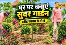 Gardening Tips : घर में लगाते हैं पौधे, फिर भी सूख जाते हैं? गार्डनिंग एक्सपर्ट ने बताया मिट्टी, खाद और पानी देने का सही फॉर्मूला