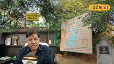 Ground Report | Karauli Park | Karauli News | Rajasthan News
