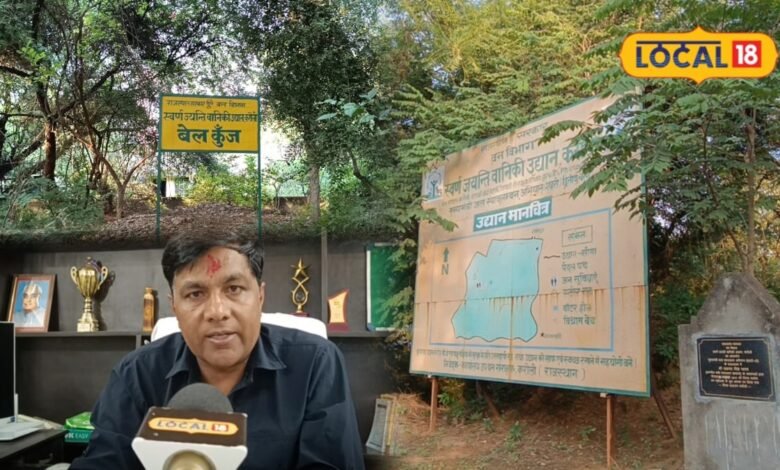 Ground Report | Karauli Park | Karauli News | Rajasthan News