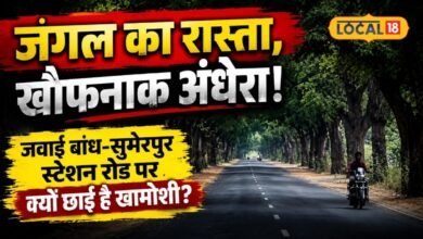 Ground Report: जंगल का रास्ता और खौफनाक अंधेरा; जवाई बांध-सुमेरपुर स्टेशन रोड पर क्यों छाई है खामोशी?