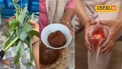 Hadjor Chutney I घुटने-जोड़ों की समस्या से परेशान हैं? रसोई में मौजूद ये देसी चटनी है बेहद खास