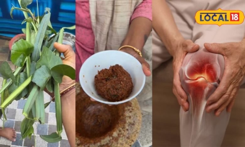 Hadjor Chutney I घुटने-जोड़ों की समस्या से परेशान हैं? रसोई में मौजूद ये देसी चटनी है बेहद खास