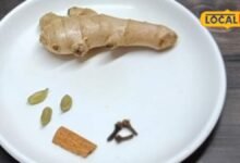 Health Tips : कैंसर नहीं चाहते तो आज से ही डाइट में शामिल कर लें ये बूटियां, जानें क्या कहते हैं डॉक्टर?