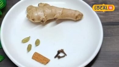 Health Tips : कैंसर नहीं चाहते तो आज से ही डाइट में शामिल कर लें ये बूटियां, जानें क्या कहते हैं डॉक्टर?