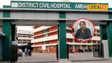 Health Tips : दिन में गर्मी, रात में ठंड...अंबाला में बदलते मौसम ने बढ़ाई परेशानी, बच्चों को खतरा ज्यादा