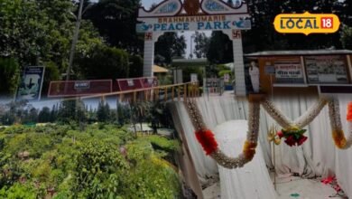 Mount Abu Peace Park Guide: माउंट आबू का पीस पार्क और 12 ज्योतिर्लिंग दर्शन