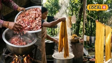 Onion Peel Natural Dye: फेंके नहीं, संभालकर रखें प्याज के छिलके, कपड़ों को रंगने में आएंगे बेहद काम