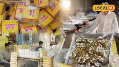 Pali Famous Halwa | Pali Famous Chain Ji Halwa Success Story | Marwar Famous Sweets