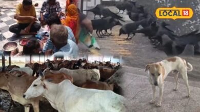 Pitru Paksha 2026: श्राद्ध में कौवा नहीं दिखे तो न हों परेशान, इन जीवों को भोजन कराने से पूरी होगी परंपरा