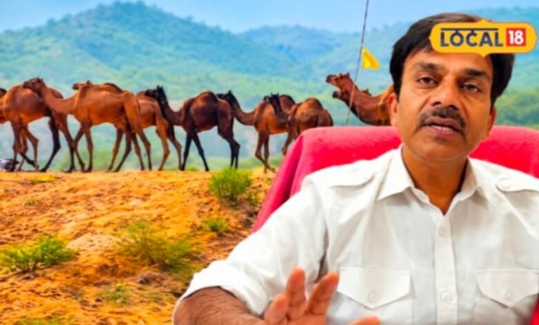 Pushkar Animal Fair 2026: पुष्कर मेले में पशुओं की सेहत का खास ख्याल, मुफ्त इलाज से लेकर जांच तक की होगी सुविधा