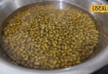 Recipe: सर्दियों में नाश्ते के लिए ऐसे बनाएं मूंग दाल के पराठे, स्वाद ऐसा कि बार-बार खाने का करेगा मन