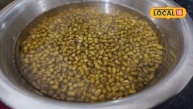 Recipe: सर्दियों में नाश्ते के लिए ऐसे बनाएं मूंग दाल के पराठे, स्वाद ऐसा कि बार-बार खाने का करेगा मन