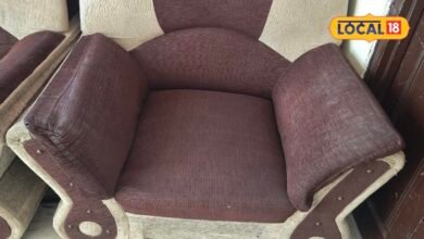 Sofa Cleaning Tips I दिवाली से पहले सोफा दिखेगा नया जैसा, बस सफाई का तरीका बदलना होगा