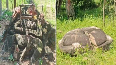 Telangana dinosaur fossils। Vemanapalli dinosaur fossils। देश का ये राज्‍य कभी था डायनासोरों का ठिकाना... करोड़ों साल पुराने राज आज भी जिंदा हैं