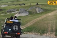 Travel: आखिर जवाई में ऐसा क्या है? जहां लाखों में पहुंच जाता है एक रात का किराया, जानें लग्जरी का राज