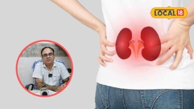 health care tips | kidni disease | health tips | अगर ये बुरी आदतें हैं तो जल्दी छोड़ दीजिए, वरना चुपचाप किडनी कर देंगी खराब, डॉक्टर ने दी चेतावनी