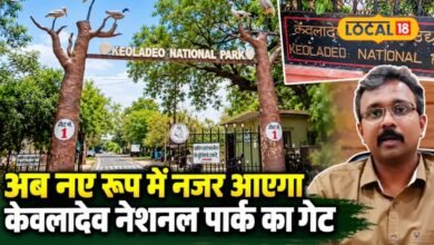 अब नए रूप में नजर आएगा केवलादेव नेशनल पार्क का मेन गेट, जानें पर्यटकों को क्या-क्या दिखेगा खास?